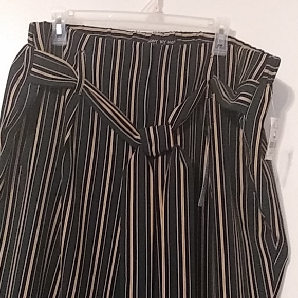 BODY BY 🇺🇸 PANTS - Picture 2 of 5